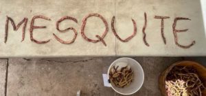 Mesquite Recipes from Peggy Sue Sorensen