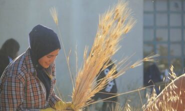 A Jordanian Collective Works Toward Food Sovereignty Through Urban Farming