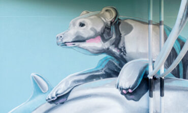 Nevercrew mural increases environmental awareness, France 2022